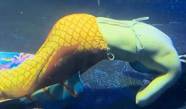 美人鱼视频,梦幻海洋的奇幻之旅